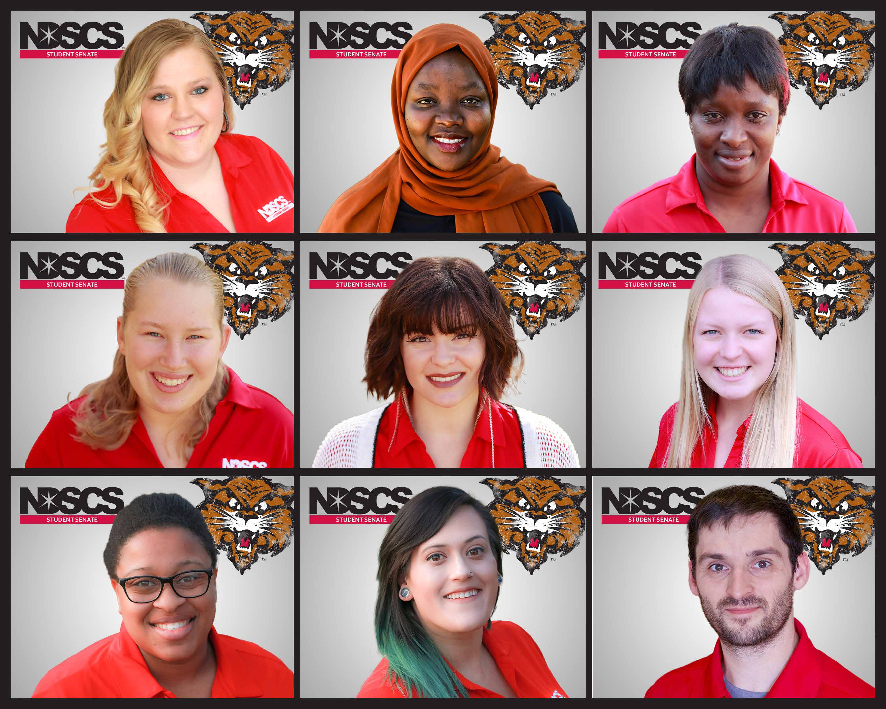 Student Senate Group
