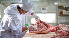 Meat Processing