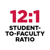 12 to 1 student to faculty ratio