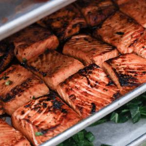 Pan of salmon filets in oven