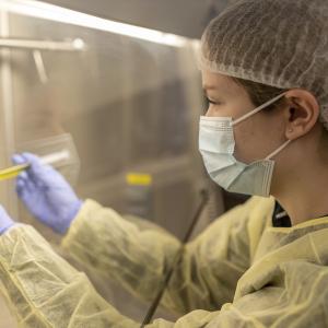 Pharmacy Tech photo 